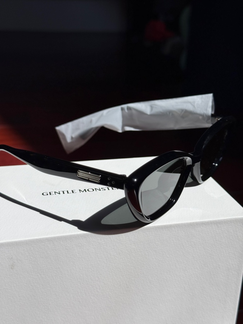 Gentle Monster Black Terra Cotta Sunglasses - Picture 4 of 10